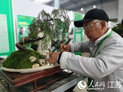 2023全国精品盆景展暨盆景交易大会在江苏如皋开