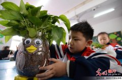 “创意盆栽”迎植树节(组图)盆栽图片大全