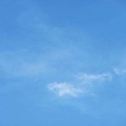 今晚四不像生肖图？栽培什么意思