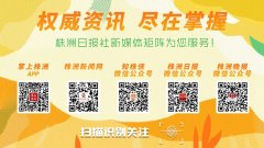 十大最旺家宅的盆栽客厅中养花就养这几种旺气