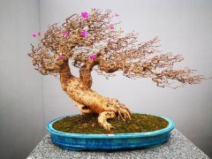 “春风送暖•流光耀彩”带你领略不一样的岭南