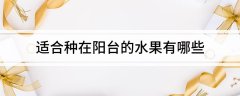 <b>适合种在阳台的水果有哪些2024-09-12</b>