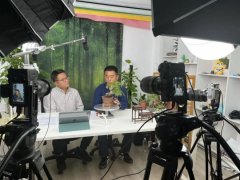 “2022年绿化大篷车”线上花市盆景专场圆满收官