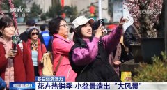 <b>冬日经济活力 花卉热销季 小盆景造出“大风景”</b>