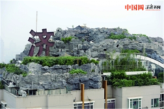 盆栽绿植北京最牛违建楼顶又见绿 称只做绿化