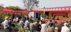 盆景造型十二式周至县林业局盆景造型技能业务