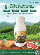 养花的十大最佳肥料众望所归：菌肥将成种地的