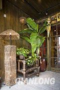 植物与屏风的风水摆放妙用(图)2024-10-28