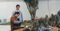 非遗孟河斧劈石盆景雄伟入驻舜山小镇（组图）