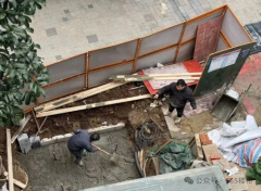 <b>麦冬绿植价格一览表曾被评为“中国最美楼盘”</b>