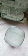 <b>小苏打养花有什么效果！小苏打养花的妙用</b>