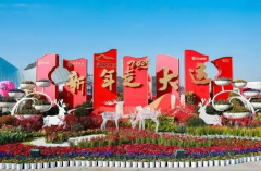 紫砂花盆盆景盆精品集市花市年味浓 苏州高新区